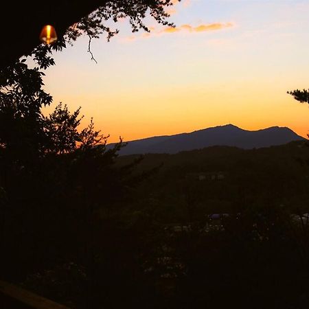 Bluff Mountain View Villa Pigeon Forge Kültér fotó